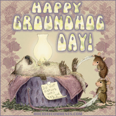 Do Not Disturb Groundhog Picture