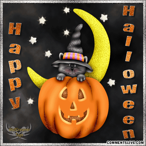 Cat Moon Halloween Picture