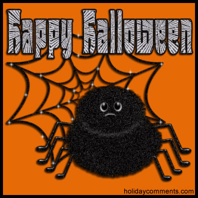 Halloween Spider Picture
