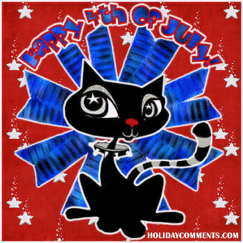 July Fourth Cat Picture
