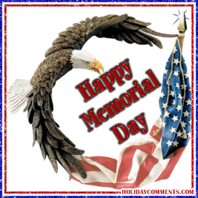 Eagle Memorial Day Picture