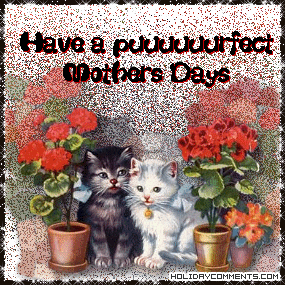 Purrfect Mothers Day Picture