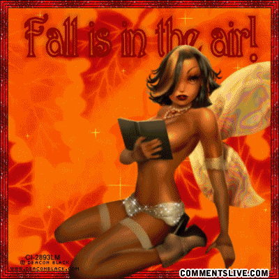Fall Is In The Air Picture