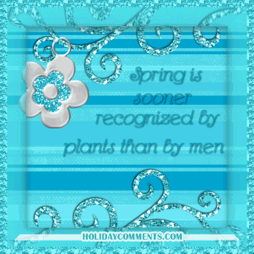 Spring Plants Picture