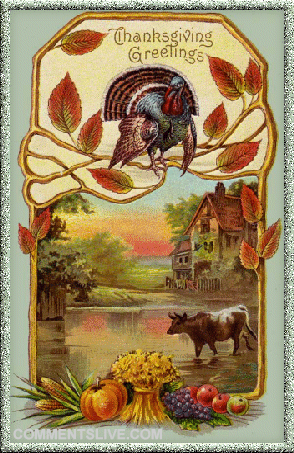 Greetings Thanksgiving Picture