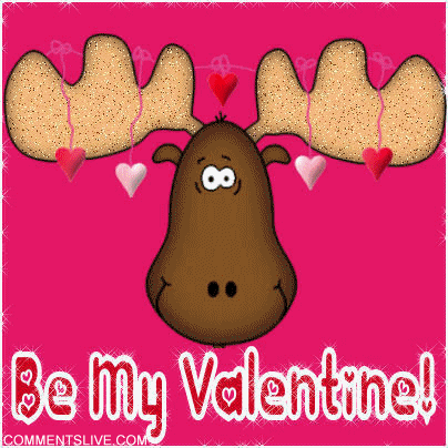Moose Valentine Picture